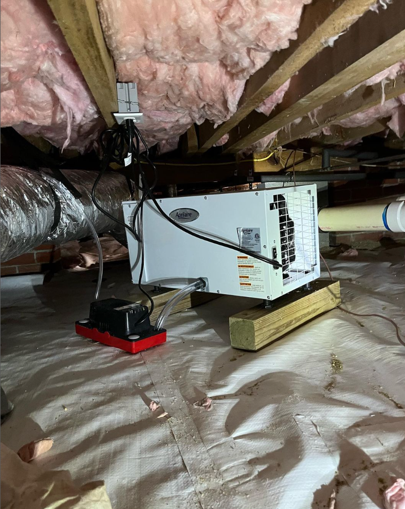 Dehumidifier in Crawl Space