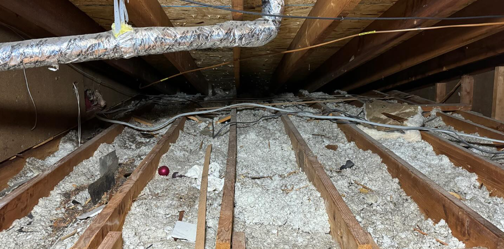 before picture of old attic insulation