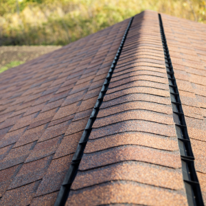 ridge ventilation showing roof ventilation