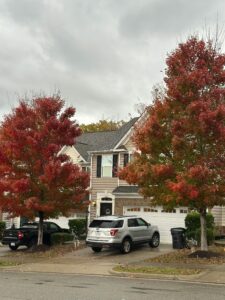 winter home protection checklist