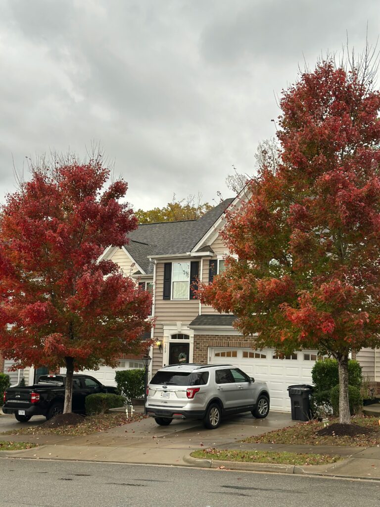 winter home protection checklist